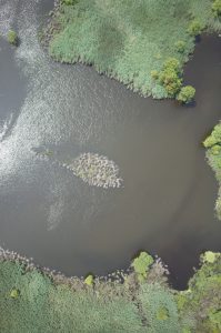 Aerial photo looking down at river