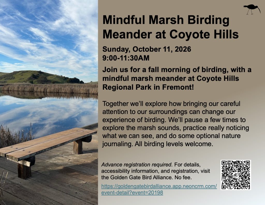 Flyer for birding outing